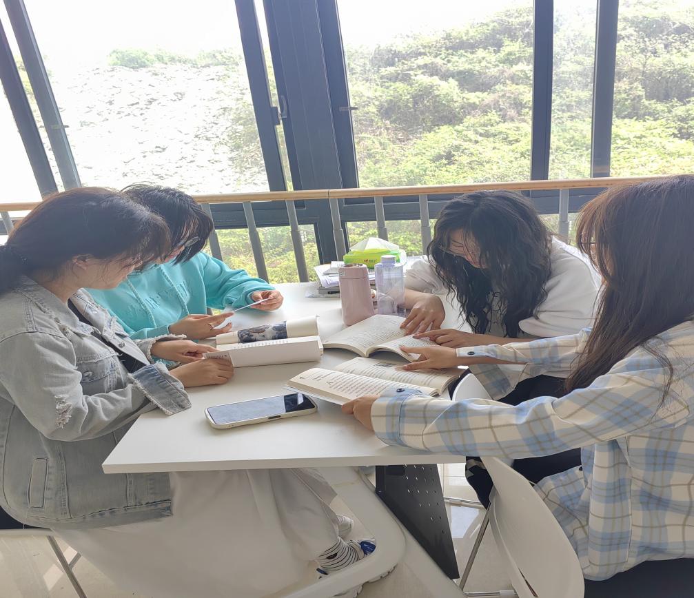 图示, 示意图 中度可信度描述已自动生成:ver1