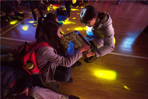 20170103131331501.jpg _DX15169.jpg