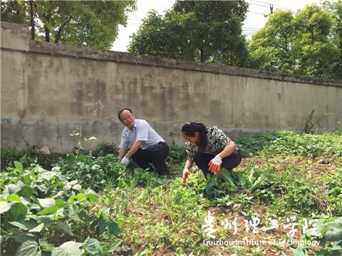 20160705103158100.jpg \